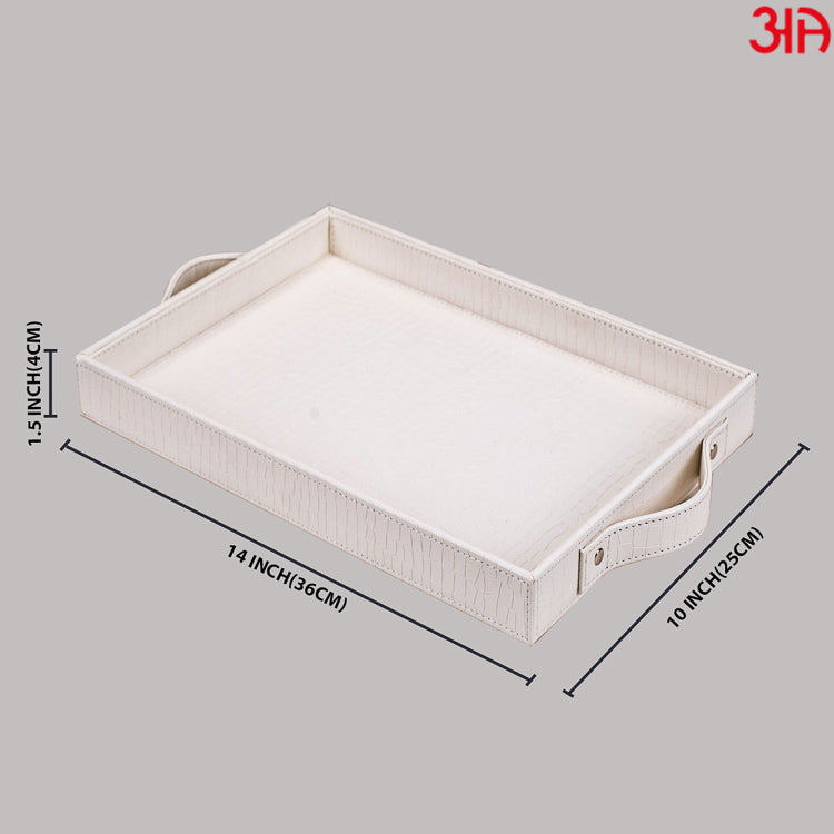 Multi Purpose Tray (36x25x4) CM