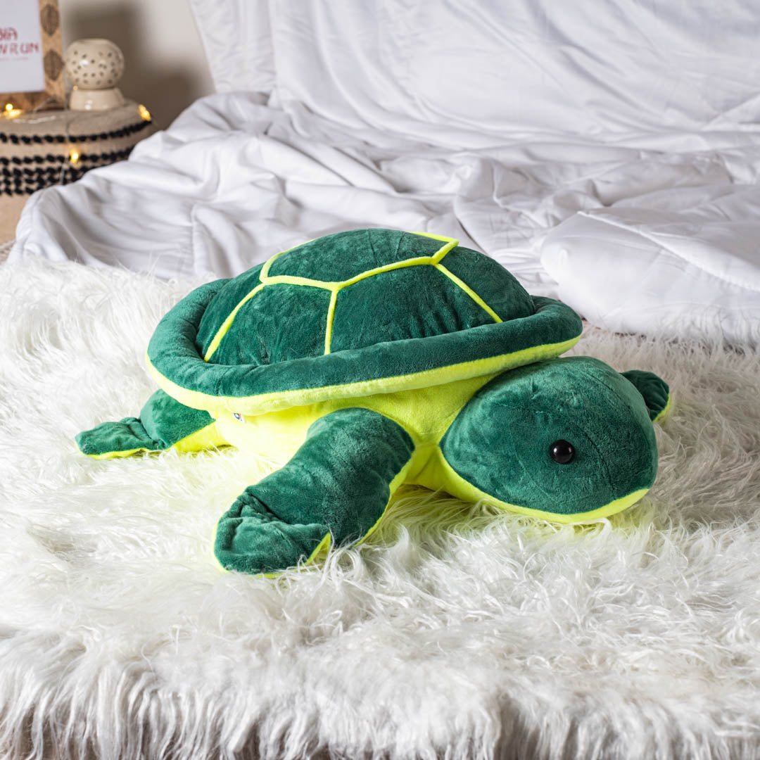 Terry the Turtle&
