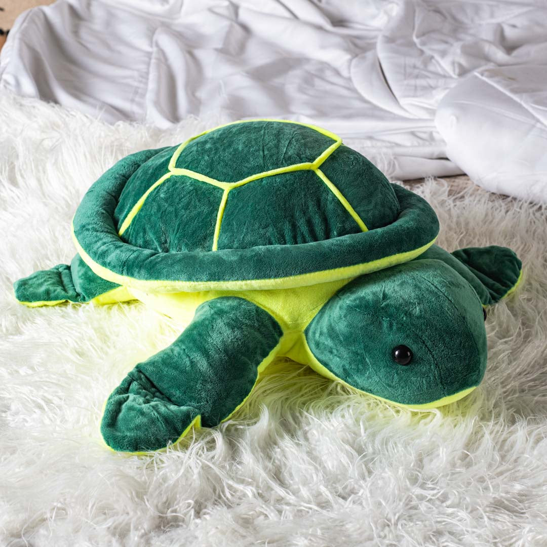 Terry the Turtle&