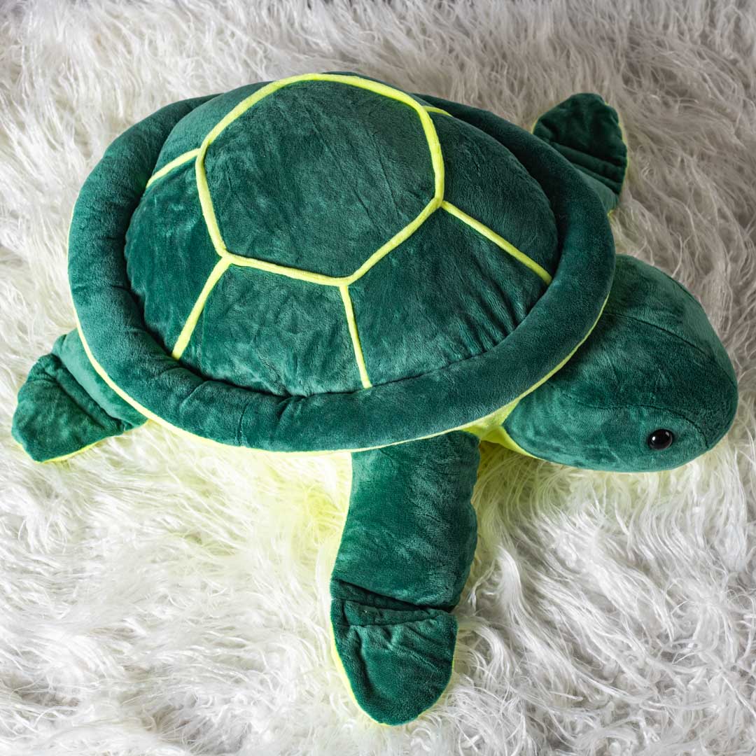 Terry the Turtle&