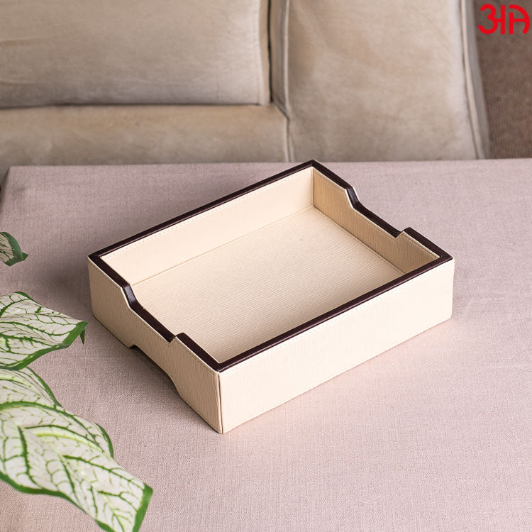 Beige Multi Purpose Tray (24x19x6)-CM
