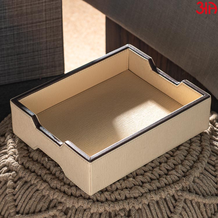Beige Multi Purpose Tray (24x19x6)-CM