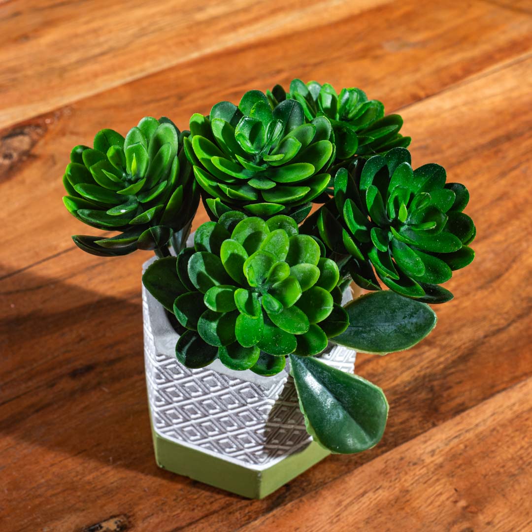 Green Artificial Succulent Pot – 8×14cm PVC Plastic & Nylon