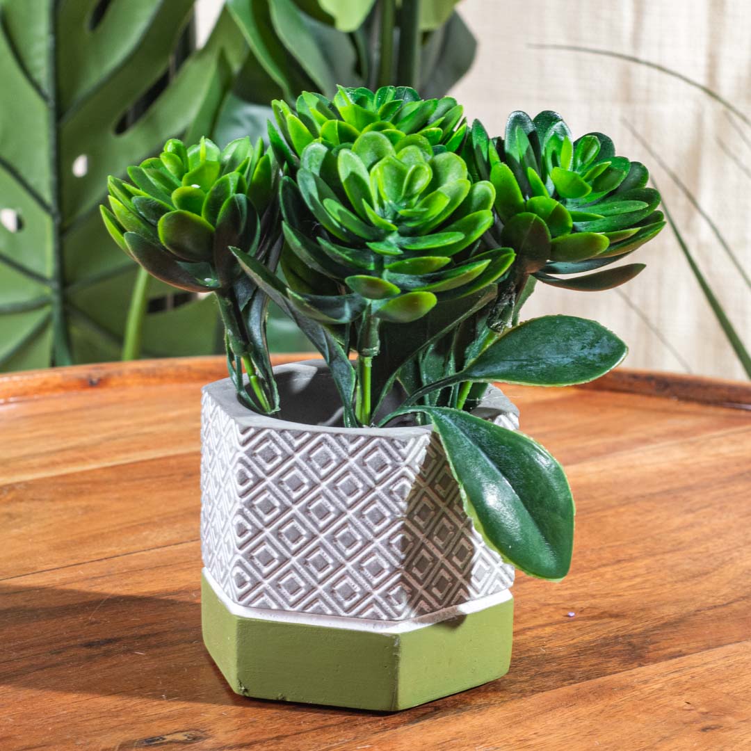 Green Artificial Succulent Pot – 8×14cm PVC Plastic & Nylon