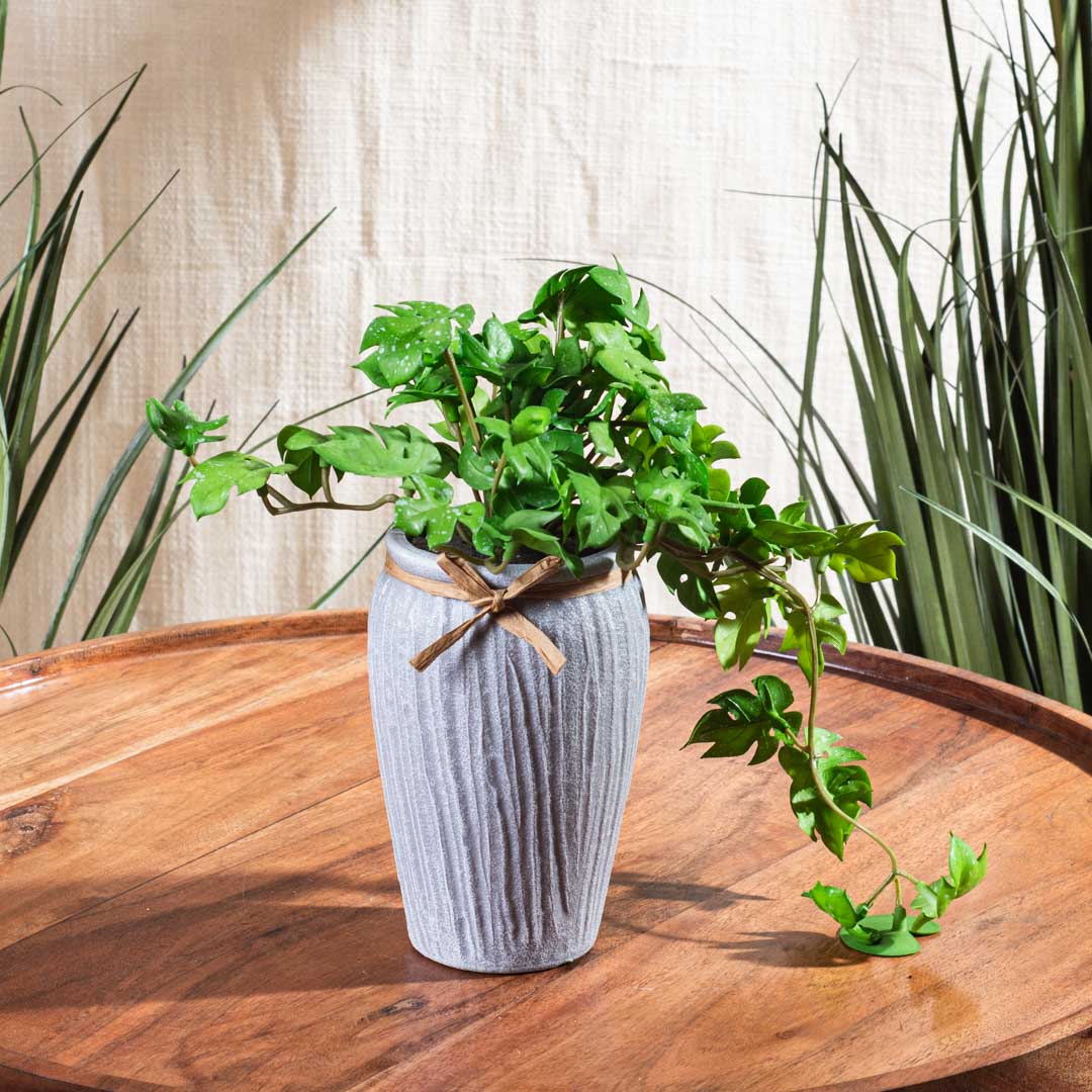Green Artificial Potted Plant – 6×21cm PVC Plastic & Nylon