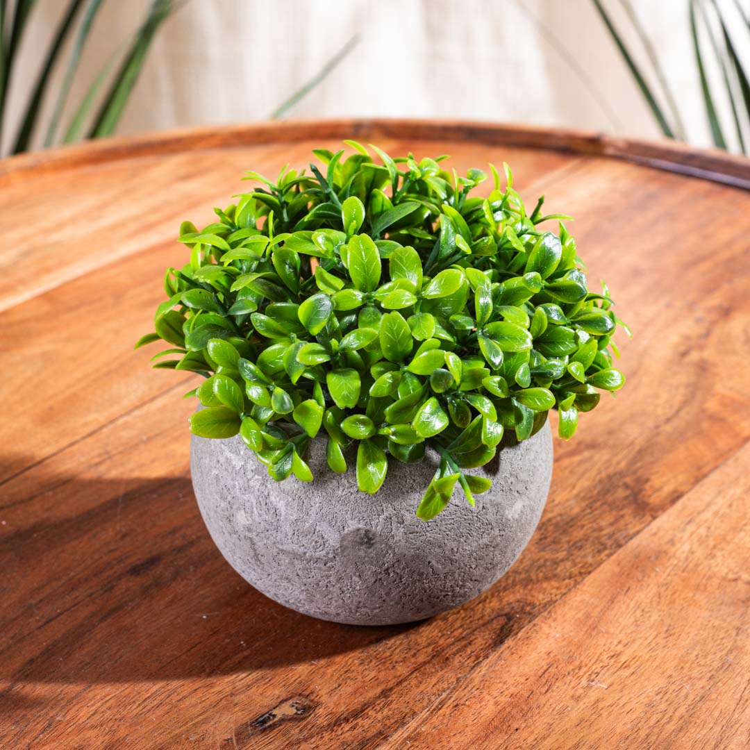 Light Green Artificial Plant – 5×17cm PVC Plastic & Nylon