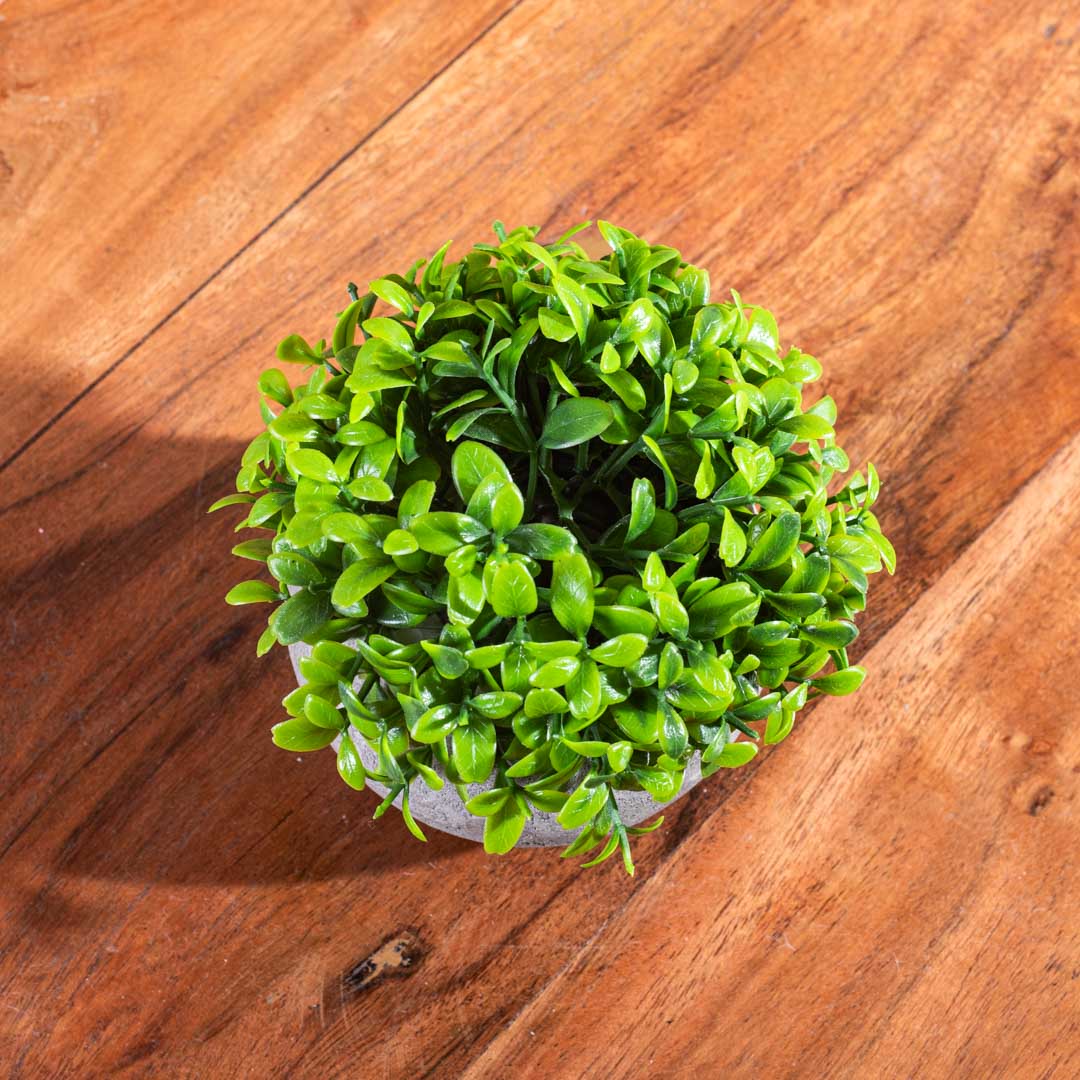 Light Green Artificial Plant – 5×17cm PVC Plastic & Nylon
