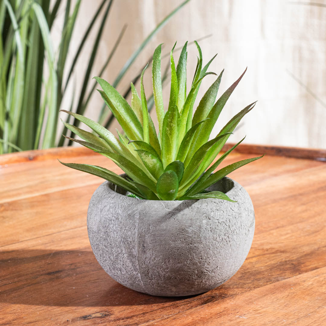 Lemon Green Artificial Potted Plant – 5×16cm PVC Plastic & Nylon