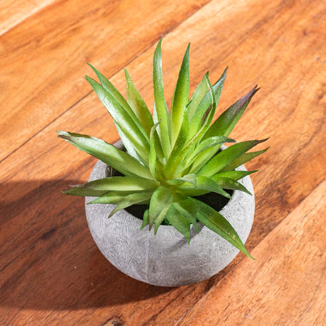 Lemon Green Artificial Potted Plant – 5×16cm PVC Plastic & Nylon