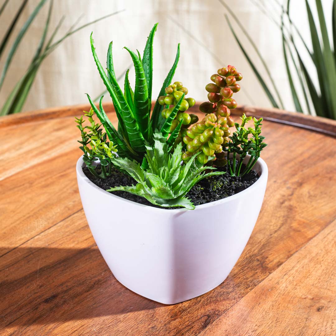 Artificial Succulent Planter – 8×17cm PVC Plastic & Nylon- DGN1