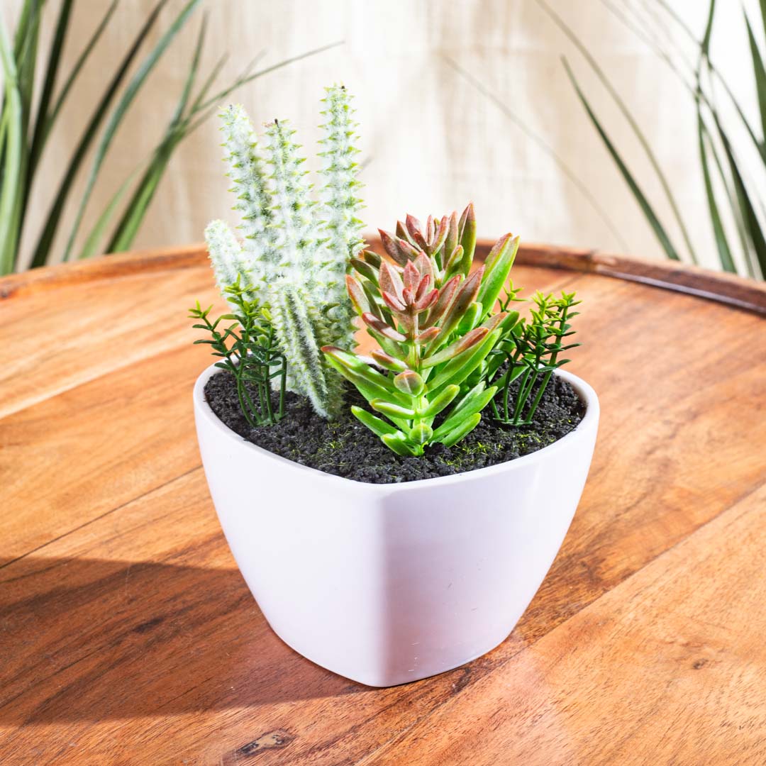 Artificial Succulent Planter – 8×17cm PVC Plastic & Nylon-DGN-2