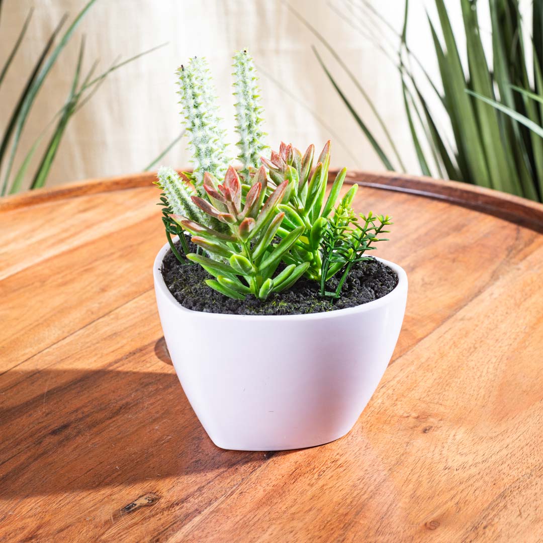Artificial Succulent Planter – 8×17cm PVC Plastic & Nylon-DGN-2
