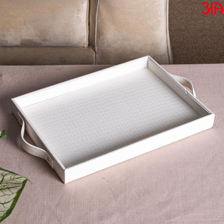 Multi Purpose Tray (36x25x4) CM