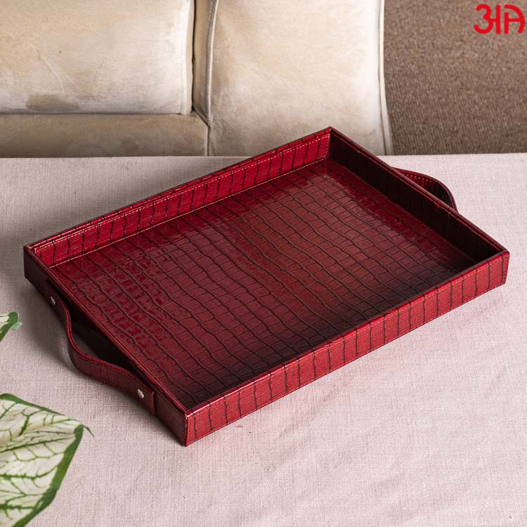 Multi Purpose Tray (36x25x4) CM