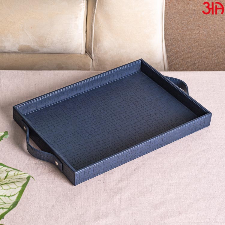 Multi Purpose Tray (36x25x4) CM