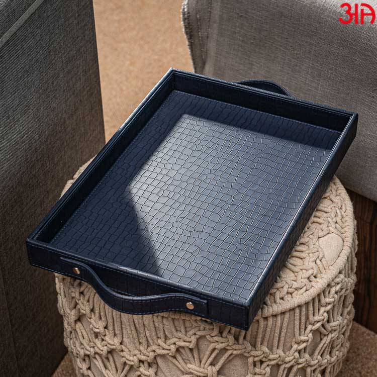Multi Purpose Tray (36x25x4) CM