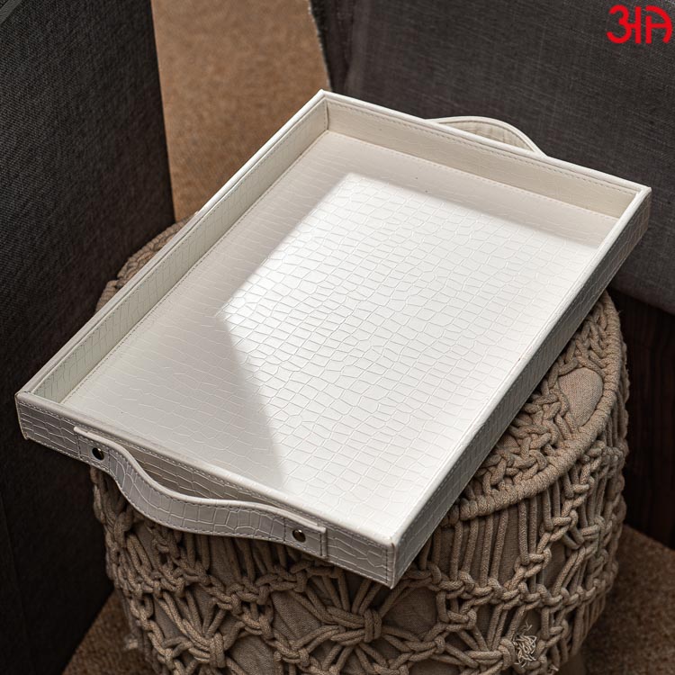 Multi Purpose Tray (36x25x4) CM