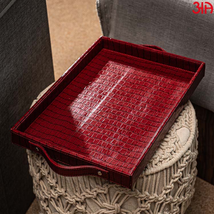 Multi Purpose Tray (36x25x4) CM