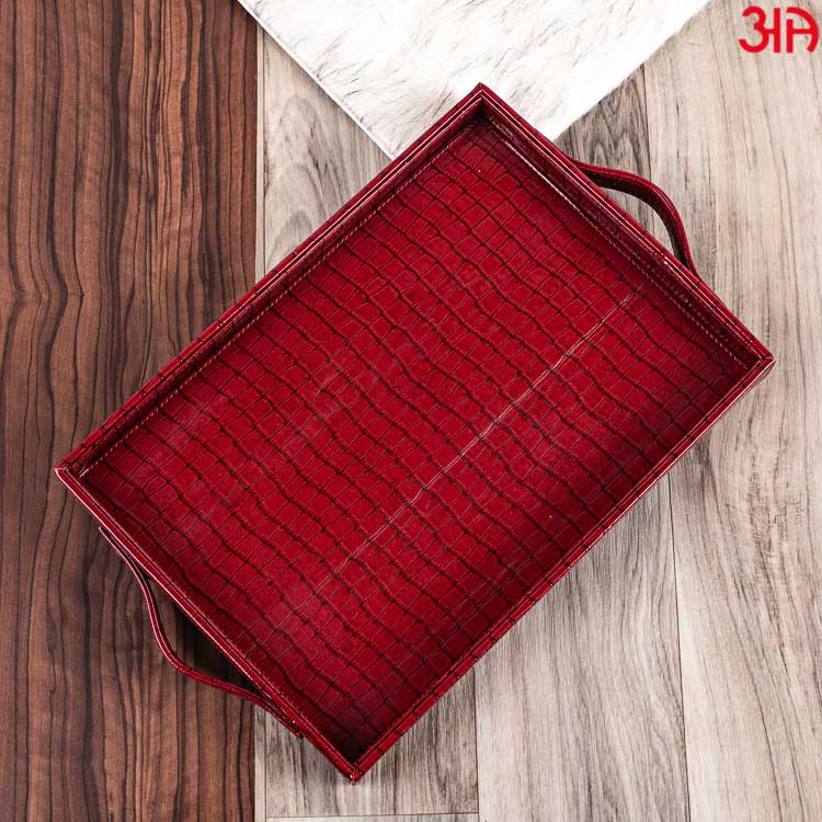 Multi Purpose Tray (36x25x4) CM