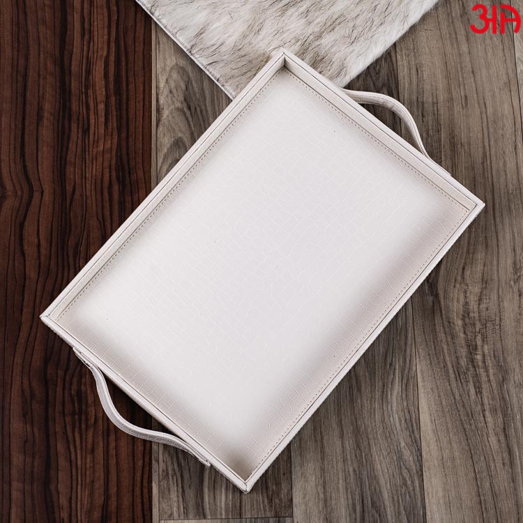 Multi Purpose Tray (36x25x4) CM