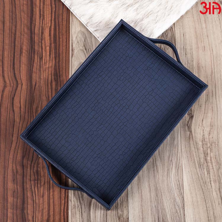 Multi Purpose Tray (36x25x4) CM