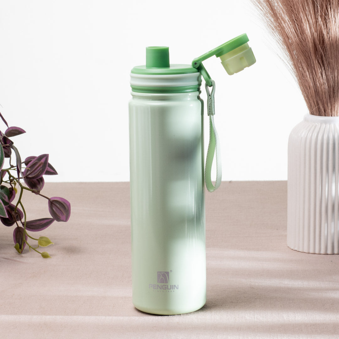 Penguin Anti-Rust Metallic Bottle – 750ml-24×6 cm