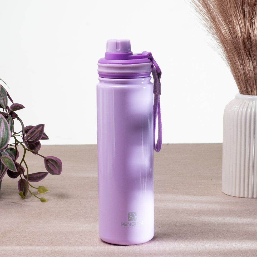 Penguin Anti-Rust Metallic Bottle – 750ml-24×6 cm