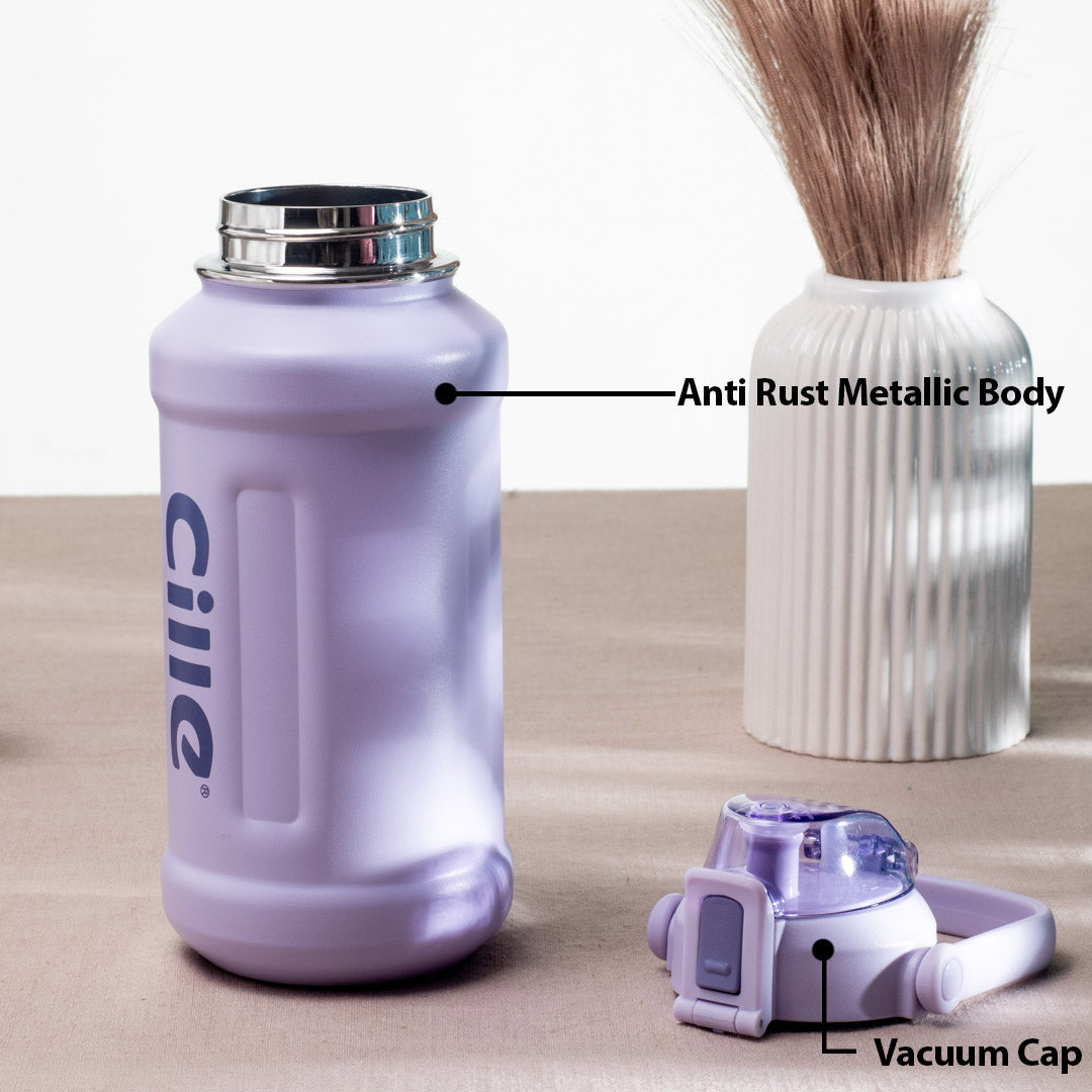Cille Insulated Water Bottle - Anti-Rust Metallic Body, Purple (25x9 cm)