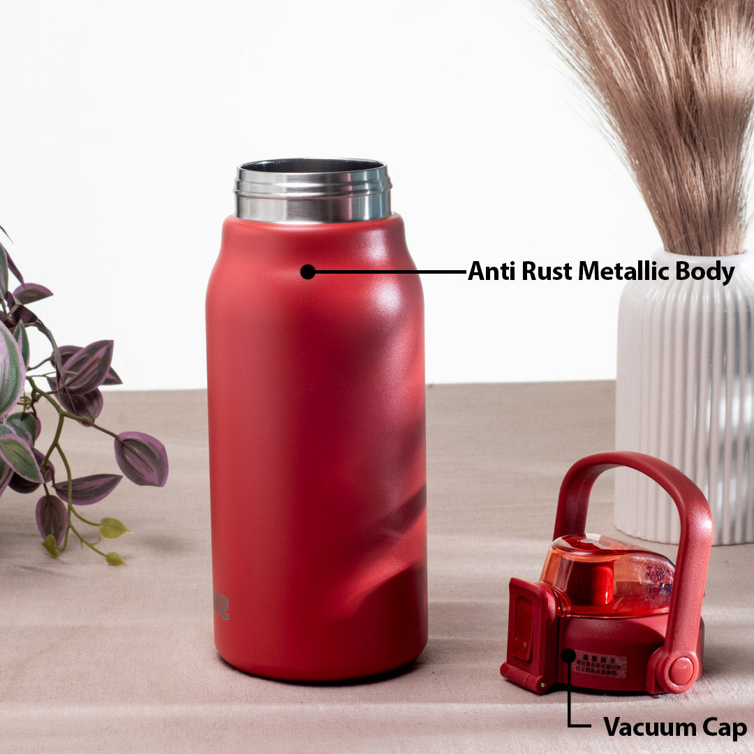 Anti-Rust Metallic Flask – 1.3L-31×10 cm