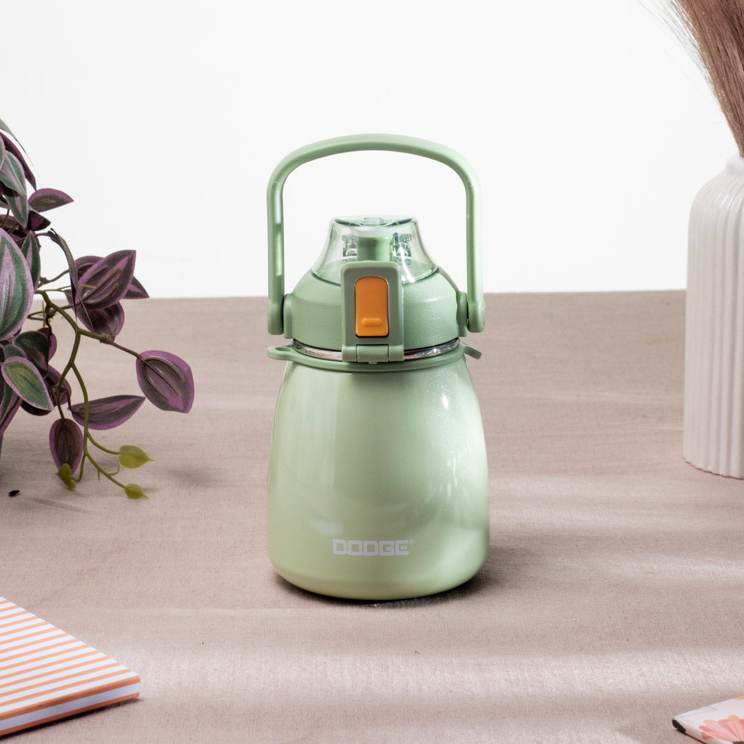 DODGE Insulated Water Bottle - Anti-Rust Metallic Body (16x9 cm)