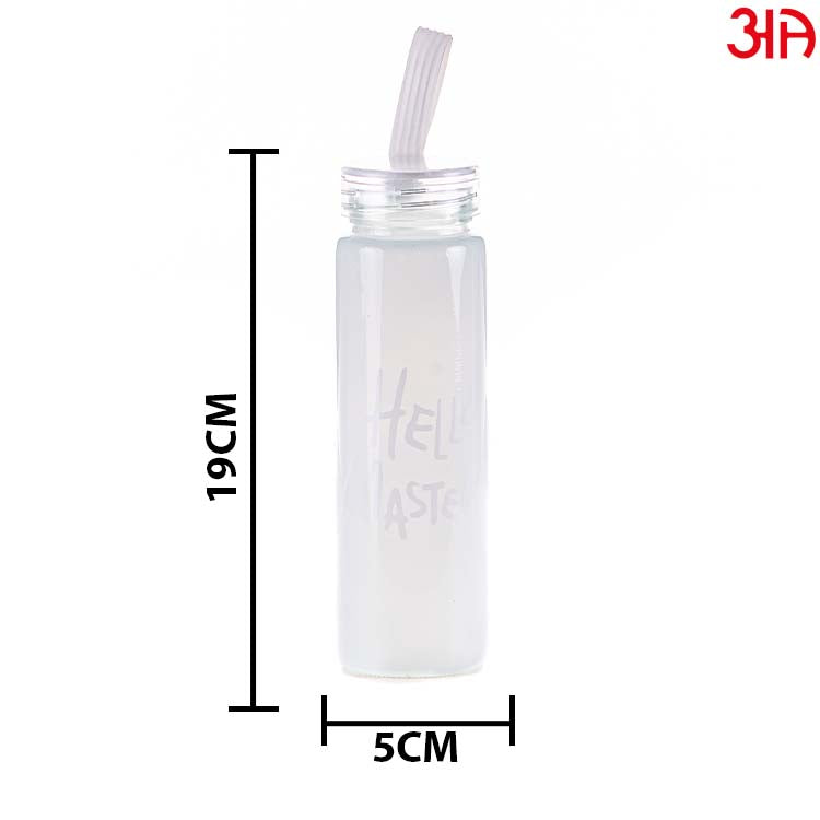 Stylish Glass Bottle (400 ML) Size (5x19)CM