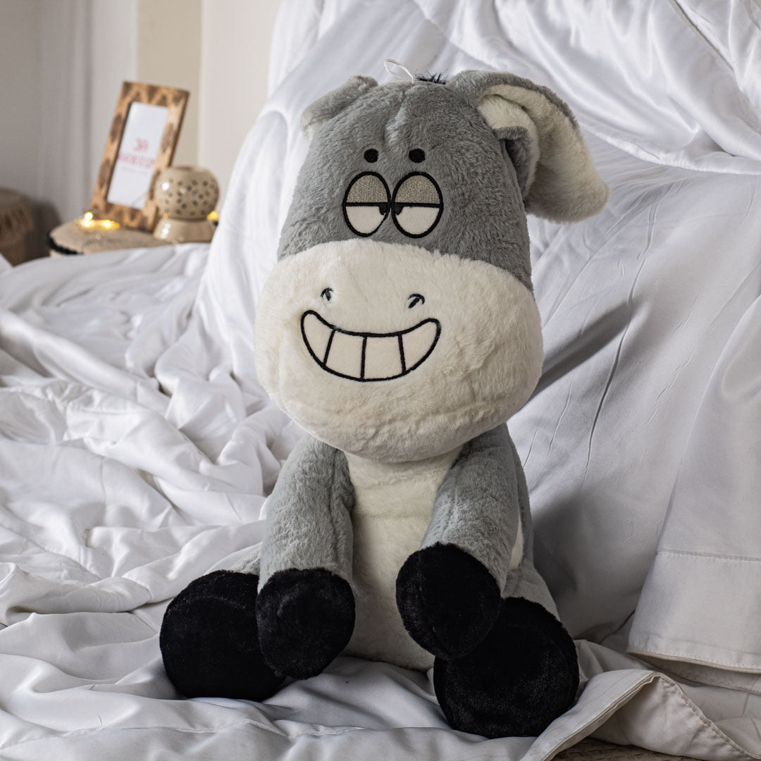 The Cheerful Donkey