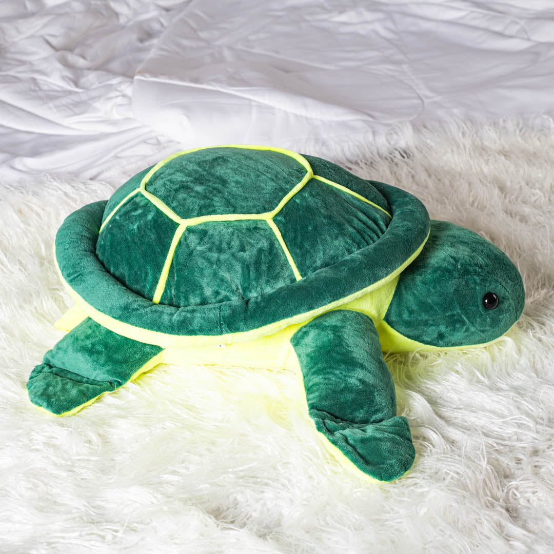 Terry the Turtle&