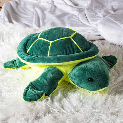 Terry the Turtle&