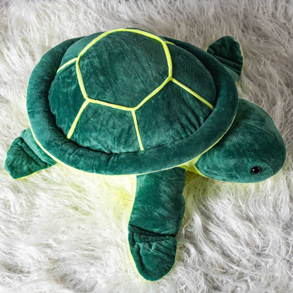 Terry the Turtle&
