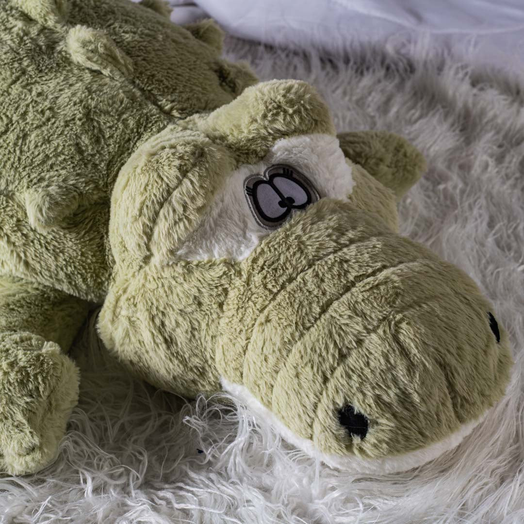 The Cozy Croc