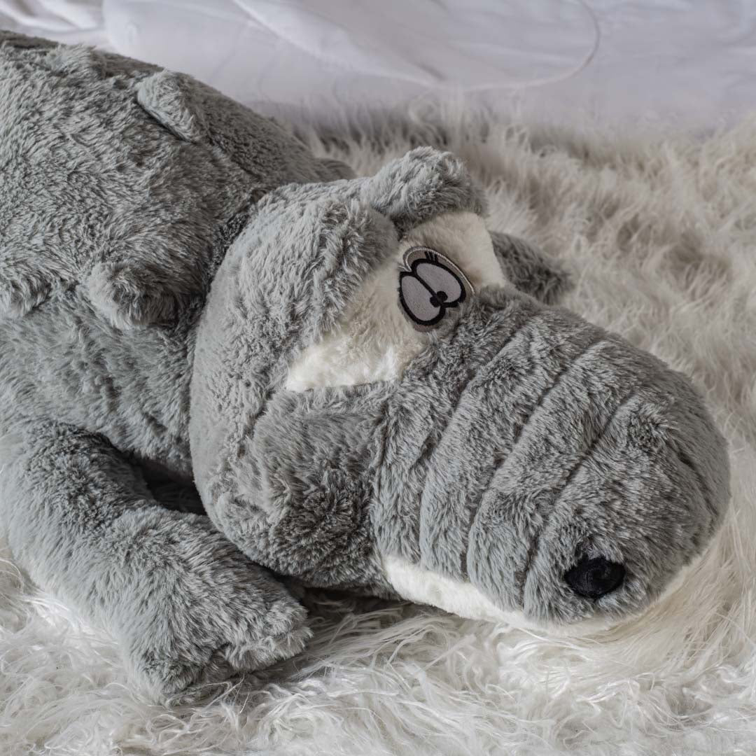 The Cozy Croc