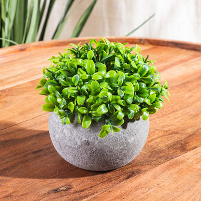 Light Green Artificial Plant – 5×17cm PVC Plastic &amp; Nylon