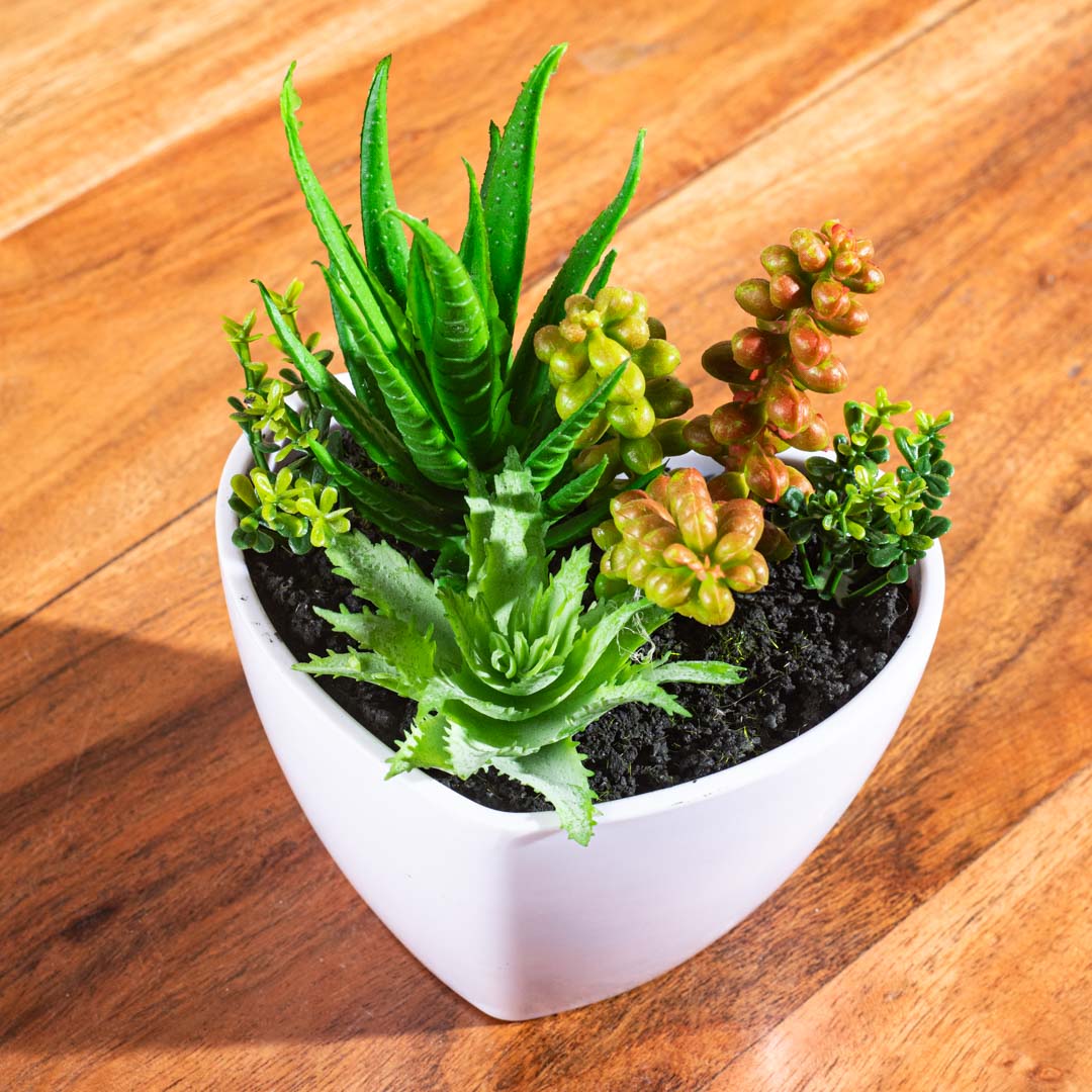 Artificial Succulent Planter – 8×17cm PVC Plastic &amp; Nylon- DGN1