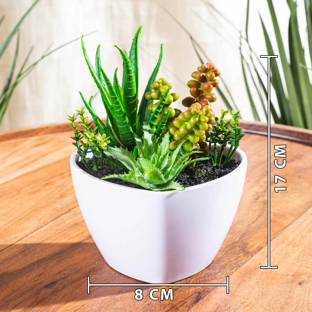 Artificial Succulent Planter – 8×17cm PVC Plastic &amp; Nylon- DGN1