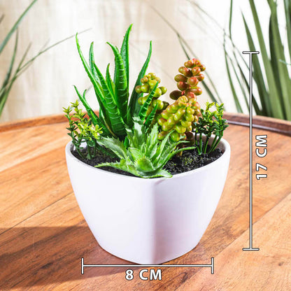 Artificial Succulent Planter – 8×17cm PVC Plastic &amp; Nylon- DGN1