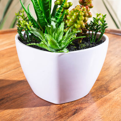 Artificial Succulent Planter – 8×17cm PVC Plastic &amp; Nylon-DGN-2