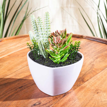 Artificial Succulent Planter – 8×17cm PVC Plastic &amp; Nylon-DGN-2