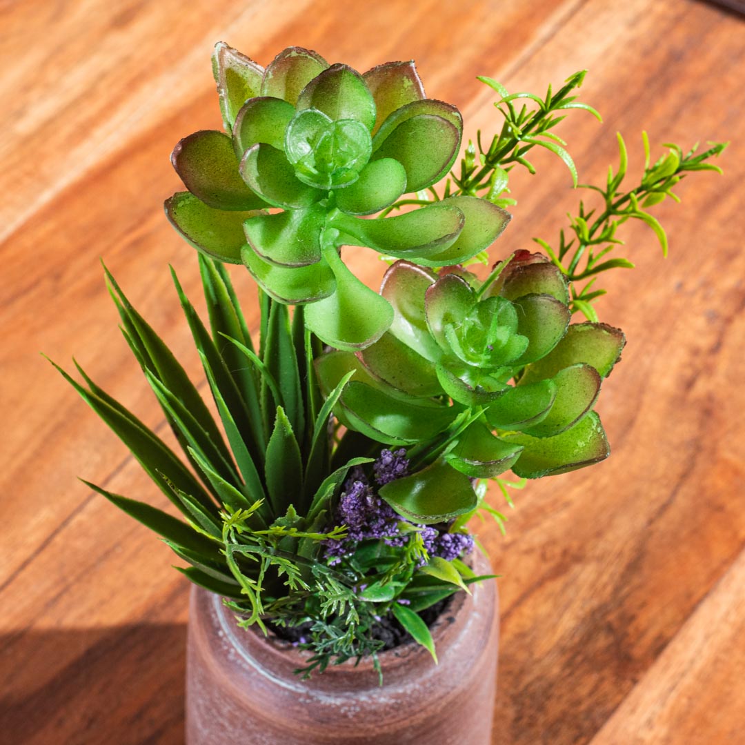 Artificial Plant – 8×27cm PVC Plastic &amp; Nylon-DGN-1