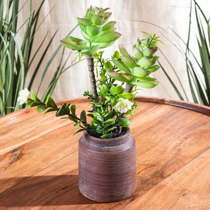 Artificial Plant – 8×27cm PVC Plastic &amp; Nylon-DGN-2