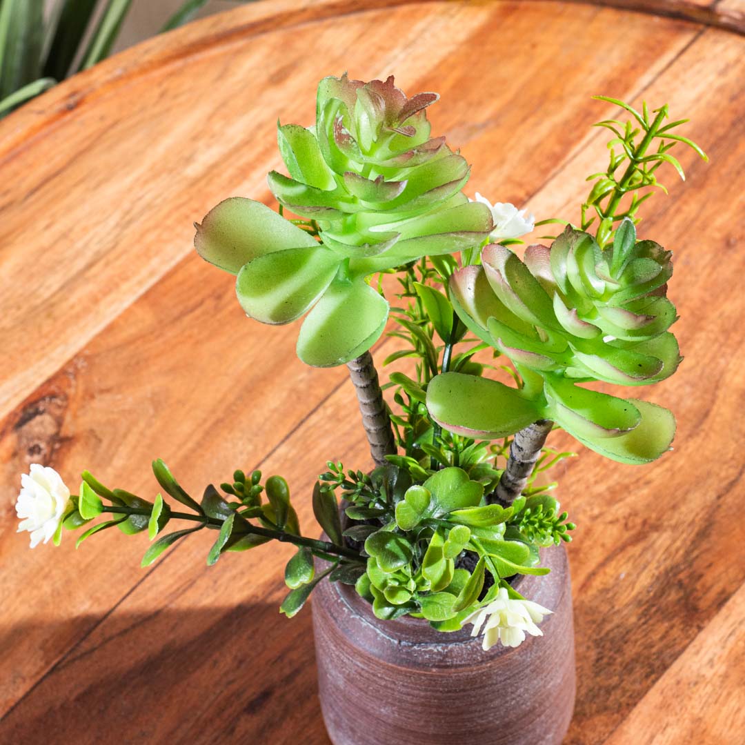 Artificial Plant – 8×27cm PVC Plastic &amp; Nylon-DGN-2