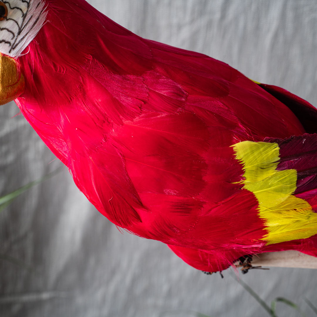 Red Artificial Parrot Decor – 68cm PVC Plastic &amp; Nylon