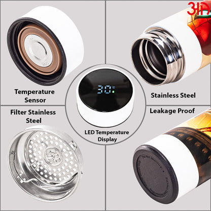 Stainless Steel Bottle with LED Temperature Display