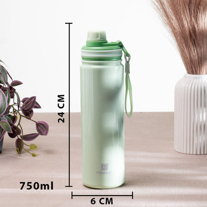 Penguin Anti-Rust Metallic Bottle – 750ml-24×6 cm