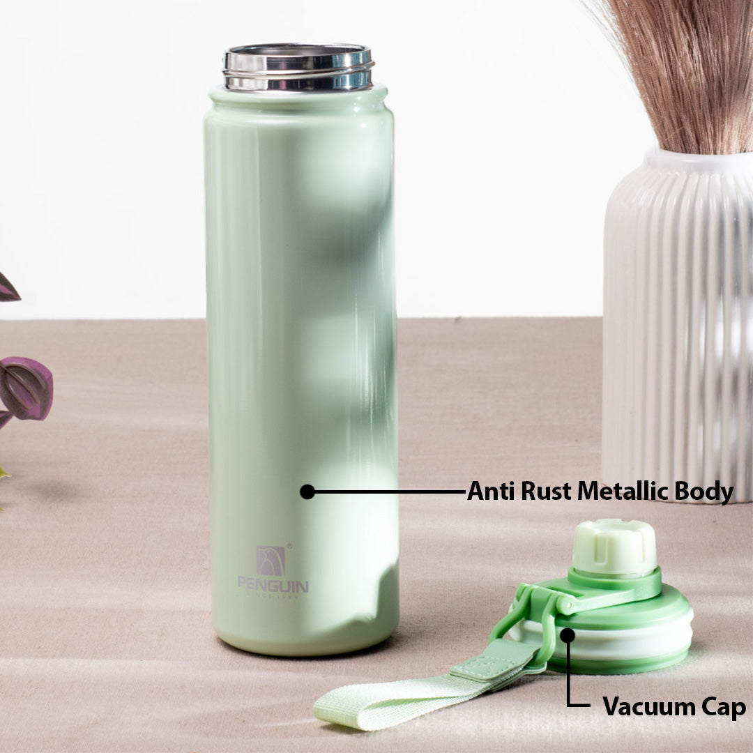 Penguin Anti-Rust Metallic Bottle – 750ml-24×6 cm